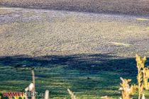 Ungewohnter Anblick - Auch in diesem Jahr beginnt der Ruhrverband nach dem Ende der NRW-Sommerferien mit der Absenkung des Stauspiegels der Listertalsperre um insgesamt 4,50 Meter unter Vollstau. • © ummeteck.de - Silke Schön